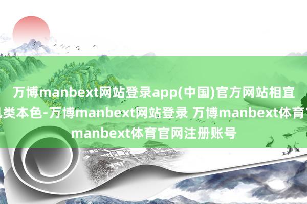 万博manbext网站登录app(中国)官方网站相宜搜索新闻资讯类本色-万博manbext网站登录 万博manbext体育官网注册账号