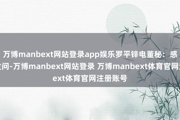 万博manbext网站登录app娱乐罗平锌电董秘：感谢您的发问-万博manbext网站登录 万博manbext体育官网注册账号